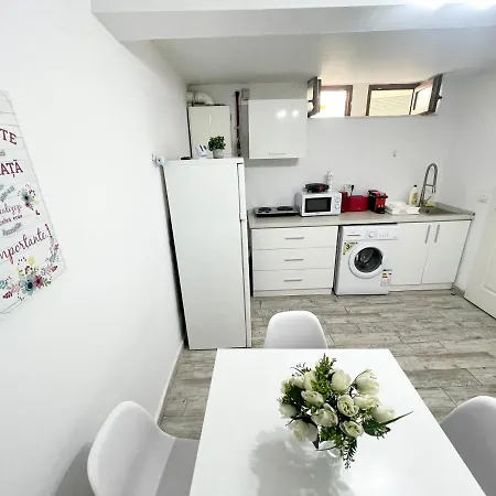 Apartment Temple 4 - Half Ground Level With Windows - Demisol Bucharest